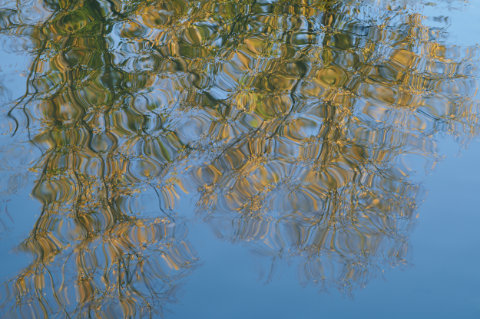 Foto: die Lippe in Lippstadt © 2023 Ludger F.J. Schneider